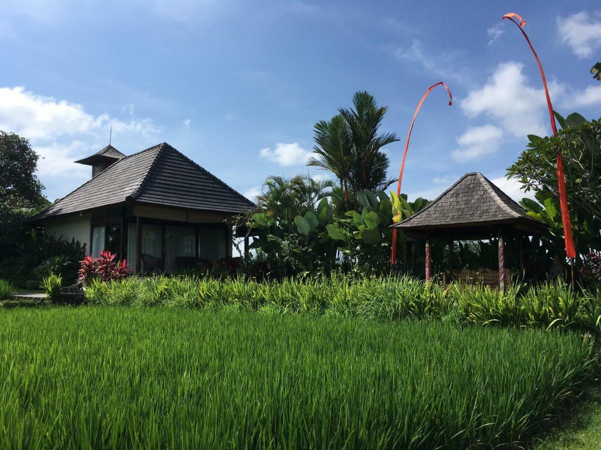 Puri Raya Villa Ubud Exterior foto